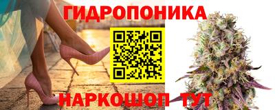 скорость mdpv Гатчина