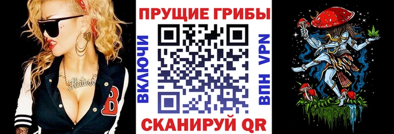 Псилоцибиновые грибы ЛСД  МЕГА маркетплейс  Тара 