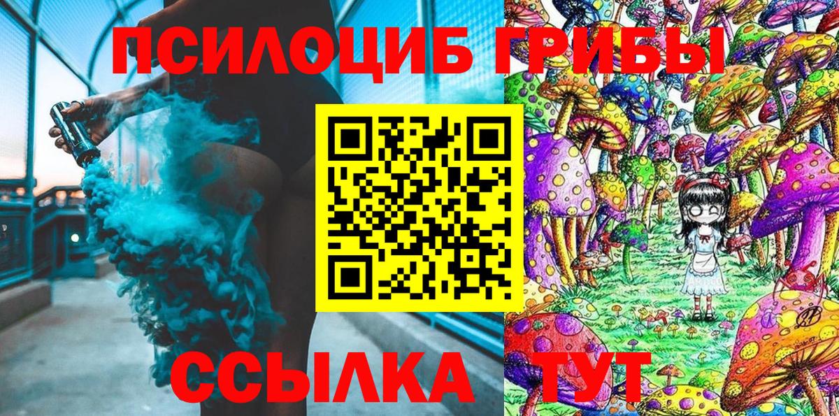 Псилоцибиновые грибы мицелий  Вход с VPN  Тара  Галлюциногенные грибы GOLDEN TEACHER 