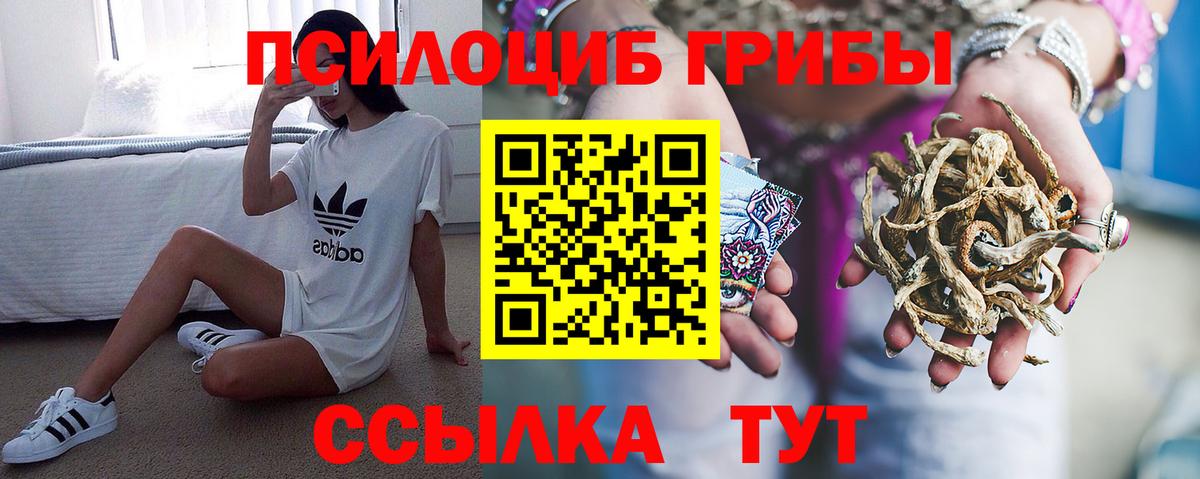Галлюциногенные грибы Cubensis Тара